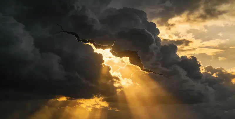 上饶肺癌12基因ctDNA突变检测(血液）图片1