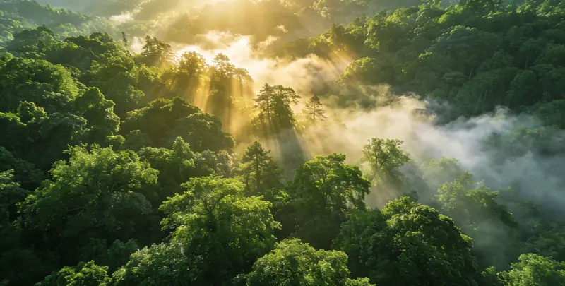 上饶肺癌（EGFR T790M)突变检测图片1
