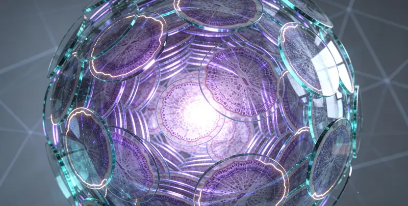 肿瘤全外显子检测图4